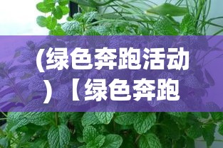 (绿色奔跑活动) 【绿色奔跑】植物的力量：如何以自然为引擎，驱动未来的可持续发展 | 深挖向前冲的秘密