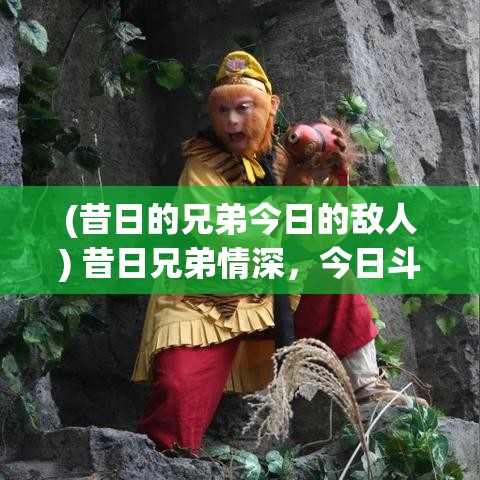 (昔日的兄弟今日的敌人) 昔日兄弟情深，今日斗法争锋：揭秘《西游记》中师徒四人的策略与智谋较量